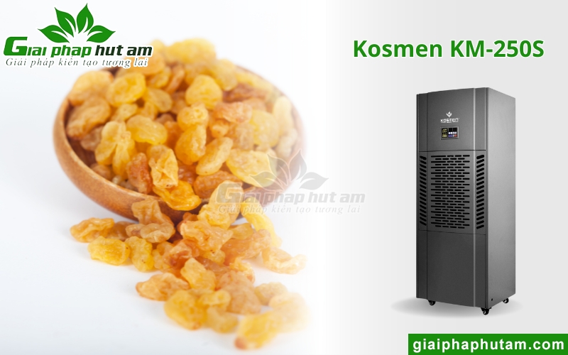 máy hút ẩm Kosmen KM-250S duy trì Độ ẩm của sản phẩm sấy