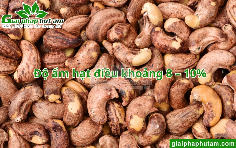 Độ ẩm hạt điều lý tưởng
