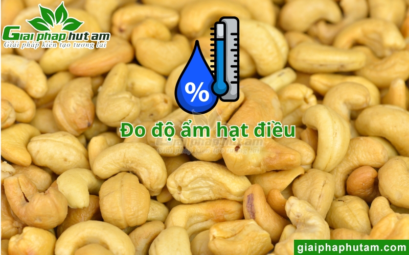 đo Độ ẩm hạt điều thường xuyên