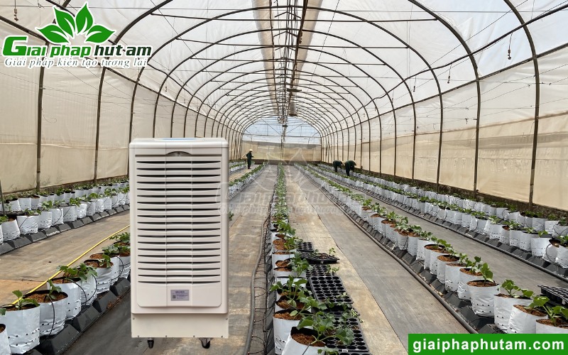 máy hút độ ẩm nhà kính, nhà màng, nhà lưới FujiE HM-1500D