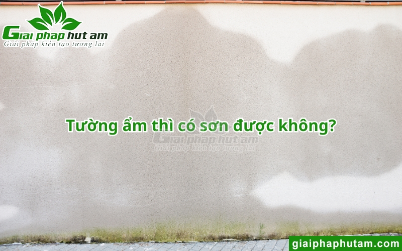 Tường ẩm thì có sơn được không?