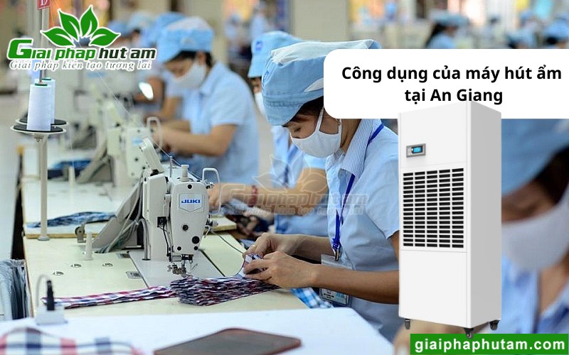 Máy hút ẩm tại An Giang ứng dụng trong may mặc