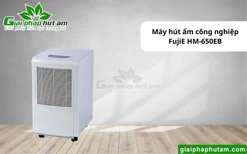 Máy hút ẩm tại An Giang FujiE HM-650EB