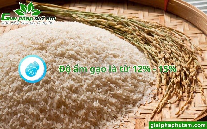 độ ẩm gạo tiêu chuẩn