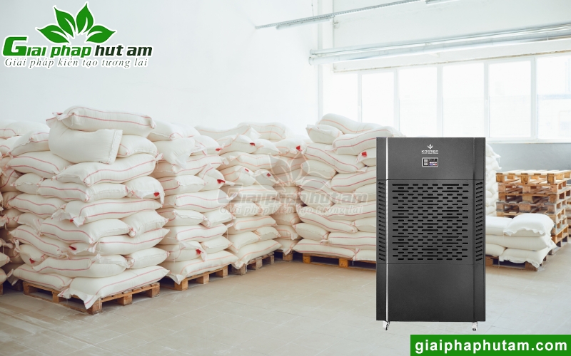 Máy hút ẩm bảo quản gạo mang lại nhiều lợi ích