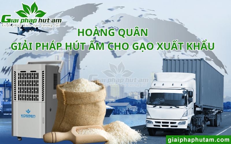 địa chỉ mua Máy hút ẩm bảo quản gạo
