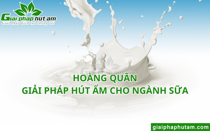địa chỉ mua Máy hút ẩm cho ngành sữa