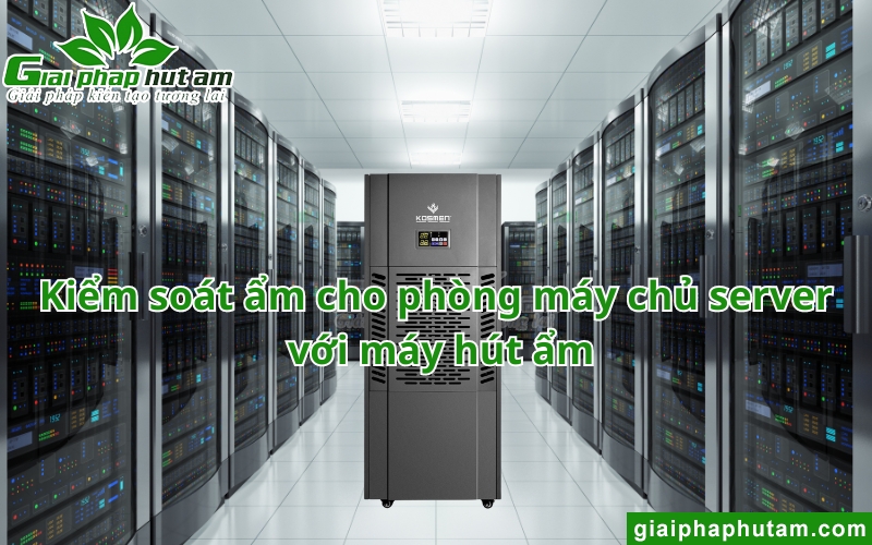 máy hút ẩm cho phòng máy chủ, máy server