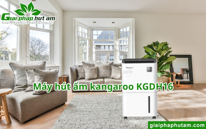 máy hút ẩm kangaroo kgdh16