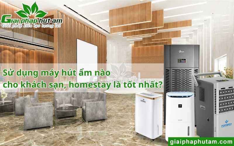 máy hút ẩm khách sạn