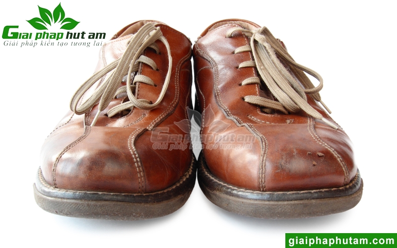 độ ẩm cao tác động đến khâu bảo quản giày da