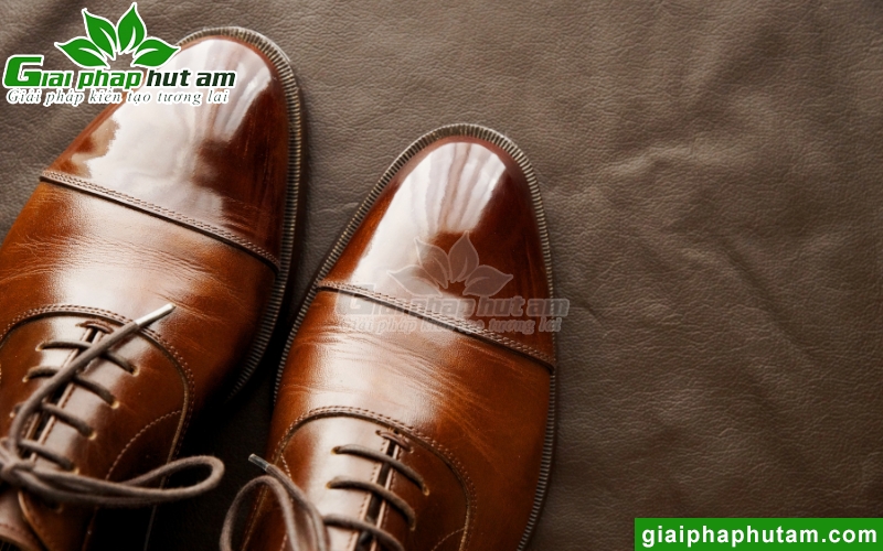 Máy hút ẩm ngành giày da giúp giày da đạt chất lượng
