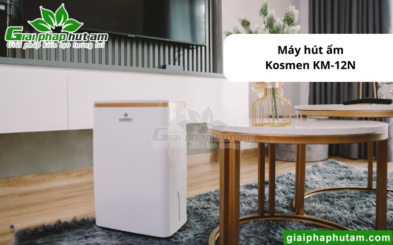 Máy hút ẩm ở Hải Phòng Kosmen KM-12N