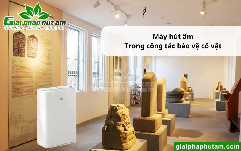 ứng dụng Máy hút ẩm ở Huế 2