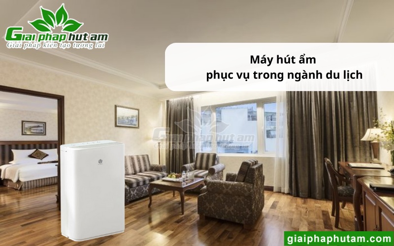 ứng dụng Máy hút ẩm ở Huế 1