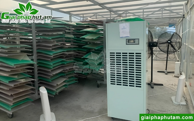 lắp Máy hút ẩm sấy bánh tráng, bánh đa tại cơ sở bánh đa nem khánh hòa