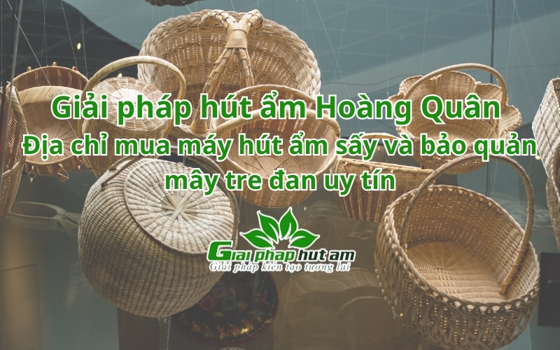 địa chỉ mua Máy hút ẩm sấy và bảo quản mây tre đan uy tín