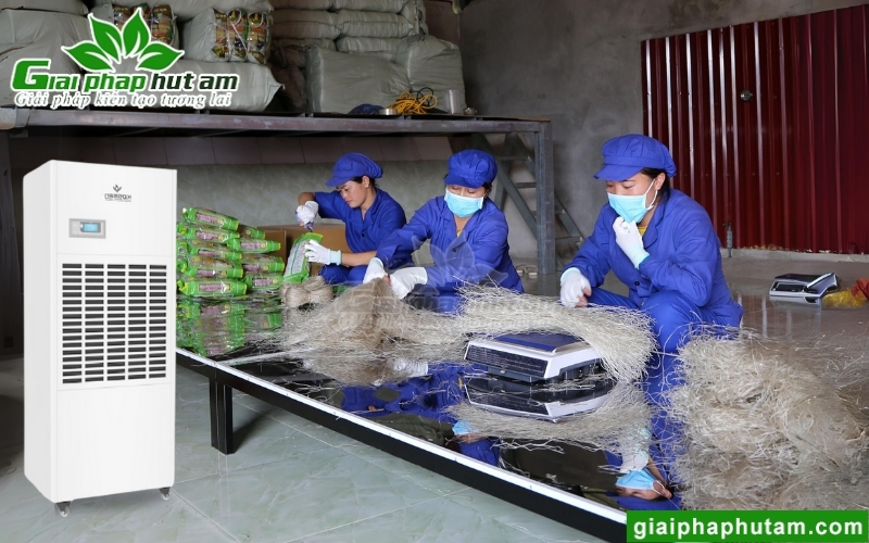 ứng dụng Máy hút ẩm tại Cao Bằng trong phơi sấy miến dong