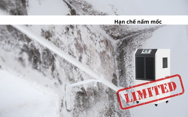 sử dụng Máy hút ẩm tại Cao Bằng hạn chế nấm mốc