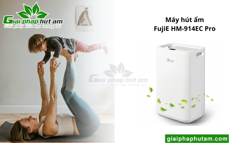 Máy hút ẩm tại Cao Bằng FujiE HM-914EC Pro