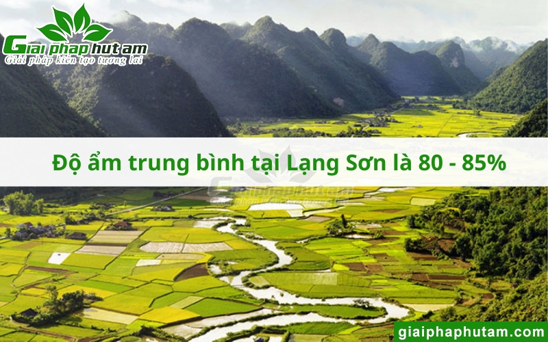 độ ẩm cao tại Lạng sơn