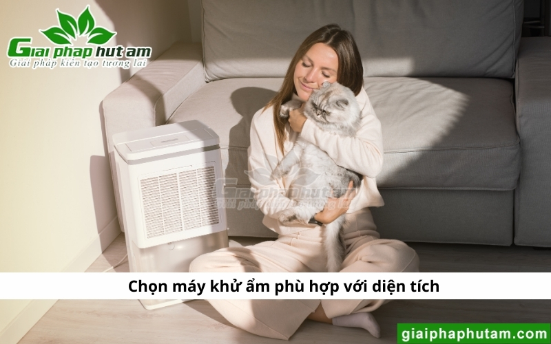 chọn Máy hút ẩm tại Vĩnh Phúc có công suất phù hợp