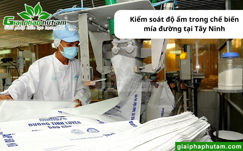 ứng dụng máy hút ẩm tại Tây Ninh trong sản xuất mía đường