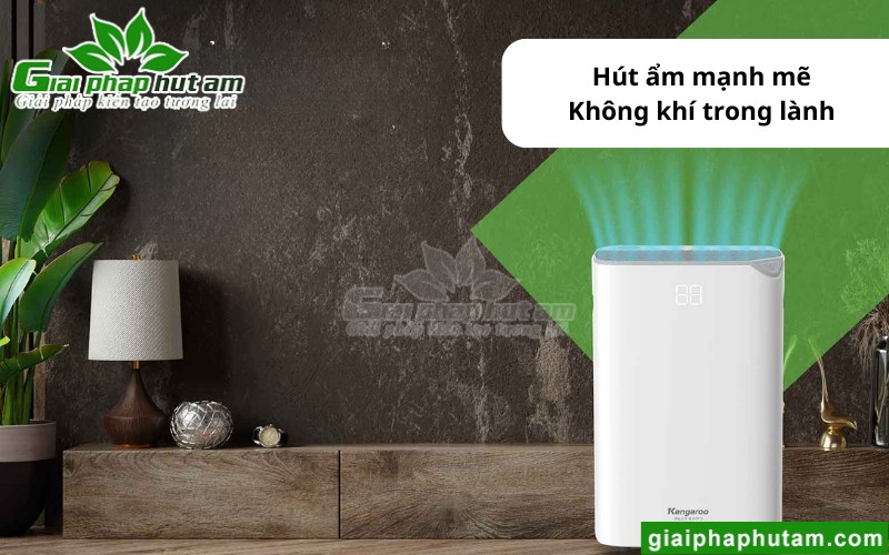 máy hút ẩm tại Thanh Hóa xử lý nồm ẩm