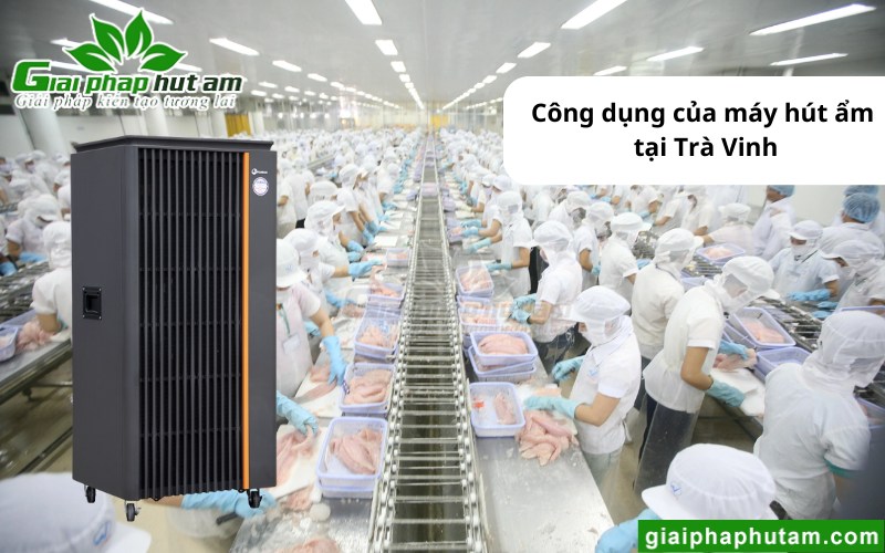 máy hút ẩm tại Trà Vinh sử dụng trong chế biến