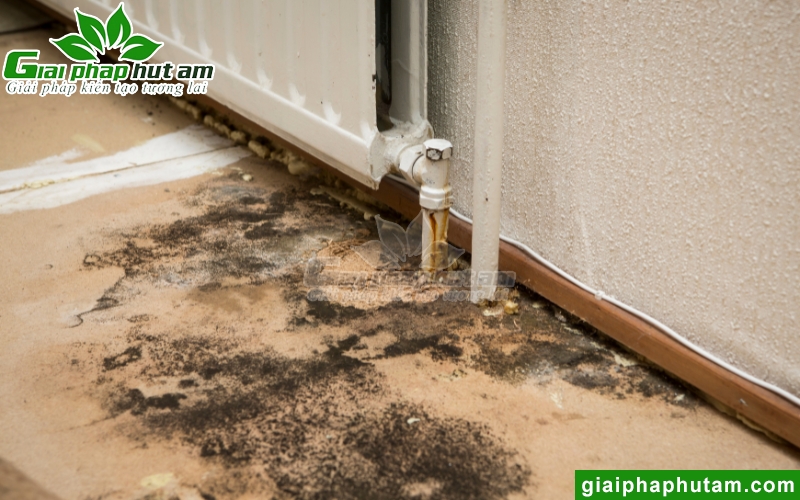 công nghệ Plasmacluster Ion giúp ngăn chặn nấm mốc