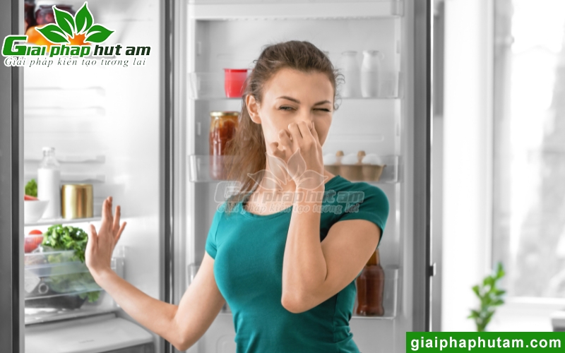 công nghệ Plasmacluster Ion giúp loại bỏ mùi hôi