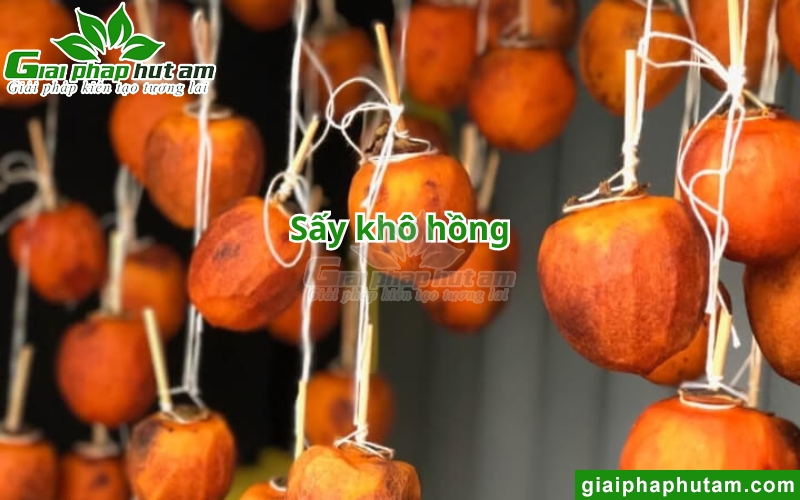 ứng dụng máy hút ẩm sấy và bảo quản hồng treo gió 1