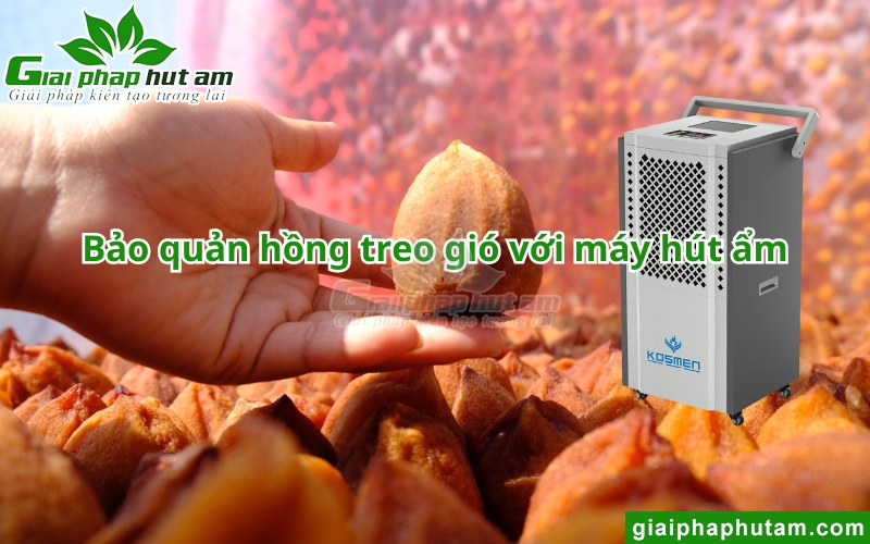 úng dụng máy hút ẩm sấy và bảo quản hồng treo gió 2