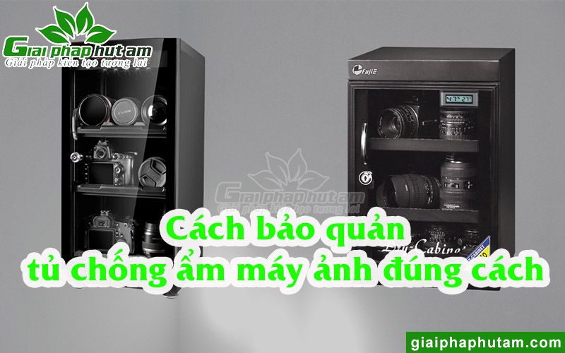 Cách bảo quản tủ chống ẩm 50l hiệu quả