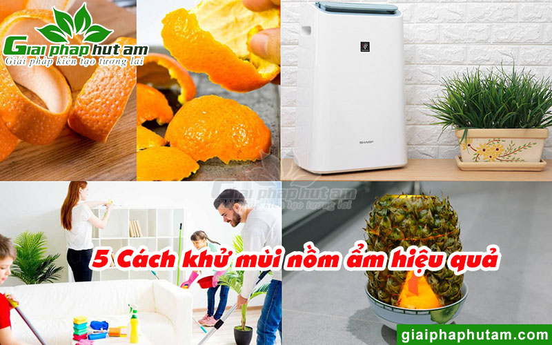 Cách khử mùi hôi ẩm mốc mùa nồm nhanh chóng