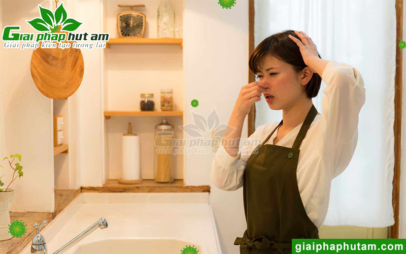 Nguyên nhân dẫn đến tình trạng nồm ẩm