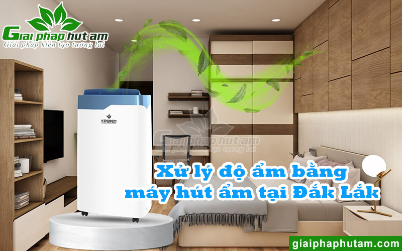 Cách xử lý độ ẩm cao bằng máy hút ẩm tại Đắk Lắk