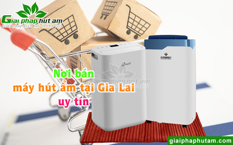 Nơi bán máy hút ẩm tại Gia Lai chính hãng