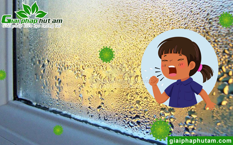 Tác hại từ độ ẩm cao