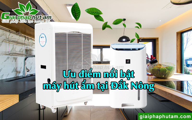 Ưu điểm máy hút ẩm tại Đắk Nông trên thị trường hiện nay