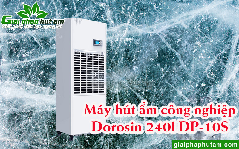 Máy khử ẩm công nghiệp Dorosin 240l DP-10S