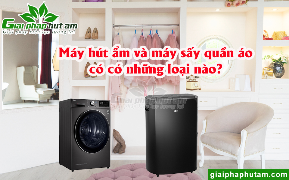 Máy hút ẩm và máy sấy quần áo có những loại nào?