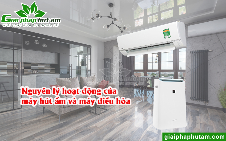Nguyên lý hoạt động của máy hút ẩm và máy điều hòa