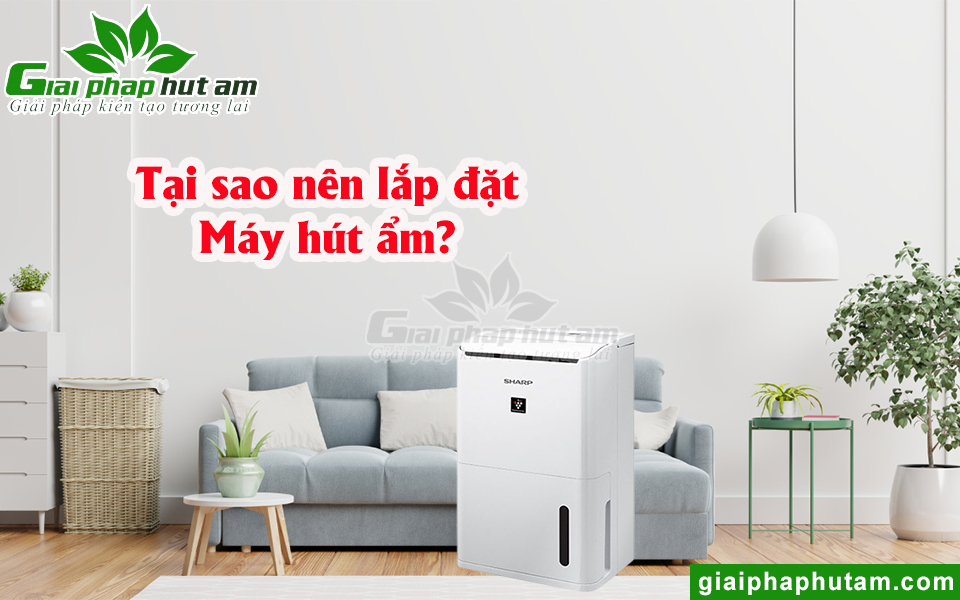 Lý do chúng ta nên lắp đặt máy hút ẩm cho gia đình mình