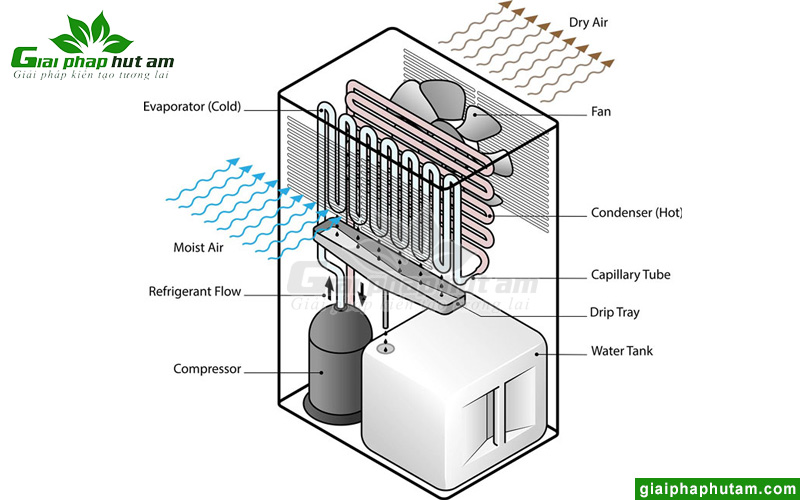 Công nghệ hút ẩm bằng máy nén khí