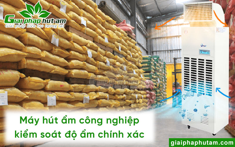 Máy hút ẩm giúp kiểm soát độ ẩm chính xác trong bảo quản nông sản khô