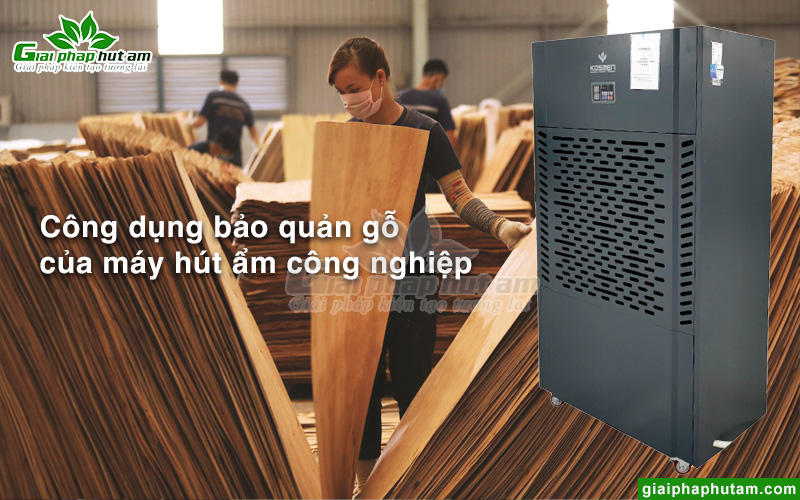 Công dụng bảo quản gỗ của máy hút ẩm công nghiệp