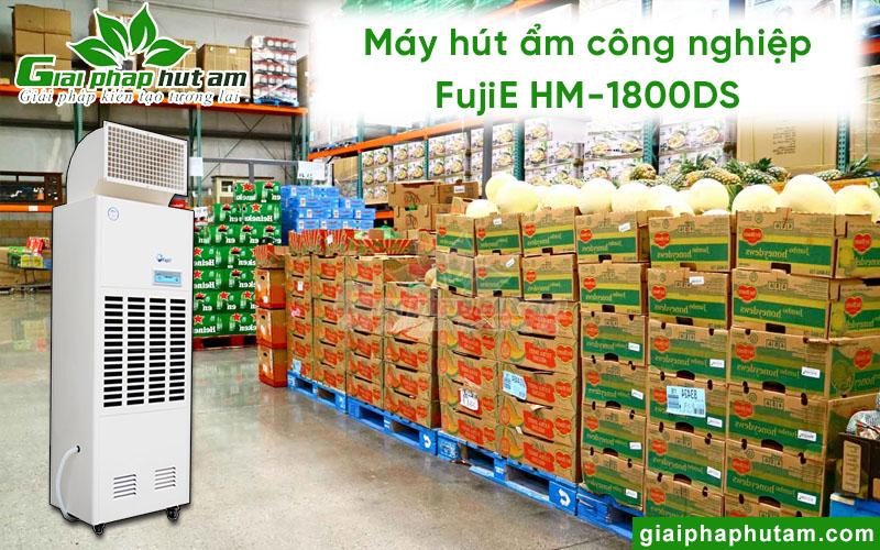 Máy hút ẩm Công nghiệp FujiE HM-1800DS