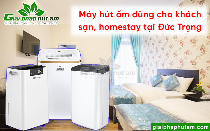 Máy hút ẩm ưa dùng trong khách sạn, homestay tại Đức Trọng