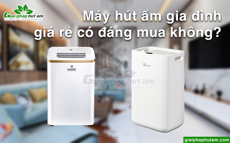Máy hút ẩm gia đình giá rẻ có đáng mua?